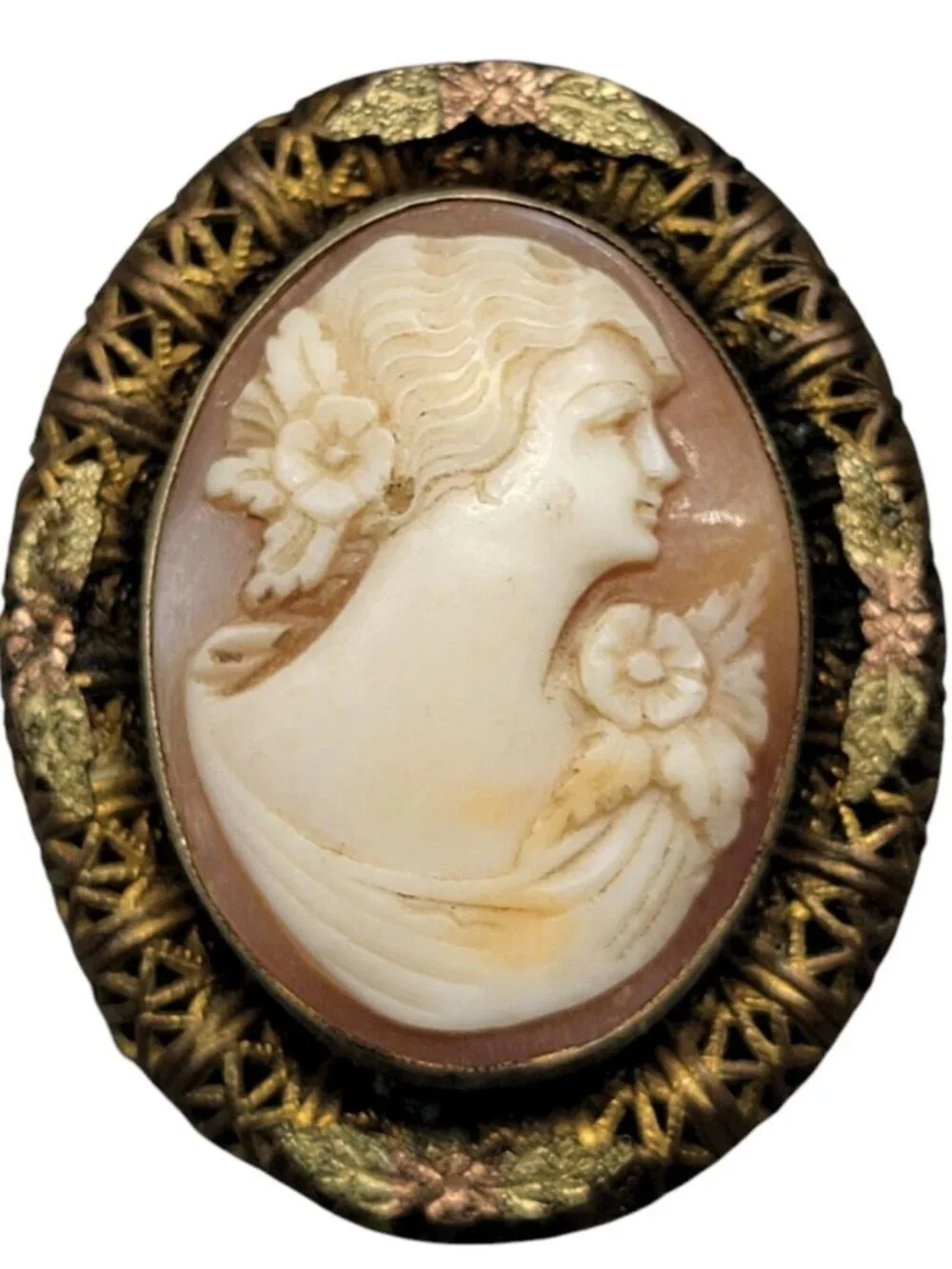 Vintage Carved Cameo Brooch Intricate Woven Frame Mixed Metal Gold Plated Leaves